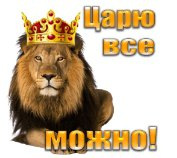 Strong_lion, 44 из г. Одесса