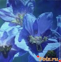 Lunar_flower, 36 из г. Павлодар